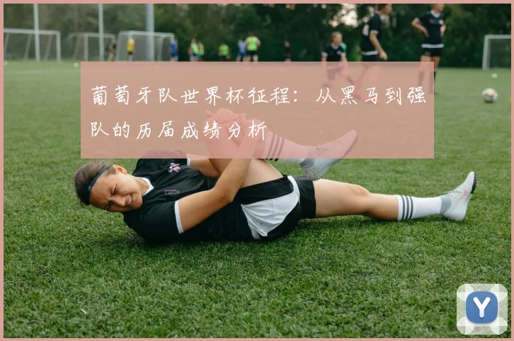 葡萄牙队世界杯征程：从黑马到强队的历届成绩分析