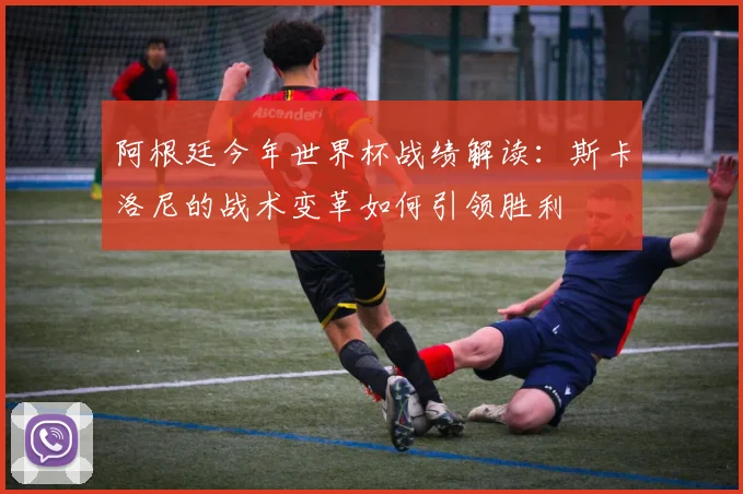 阿根廷今年世界杯战绩解读：斯卡洛尼的战术变革如何引领胜利