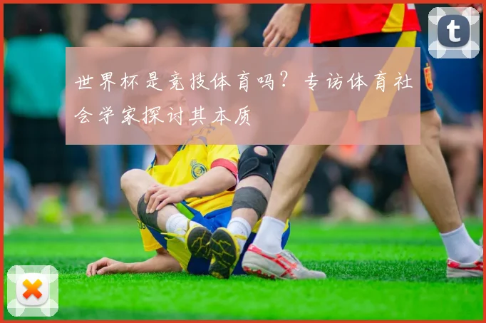 世界杯是竞技体育吗?专访体育社会学家探讨其本质