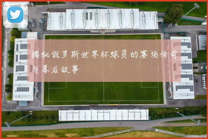 揭秘俄罗斯世界杯球员的赛场传奇与幕后故事