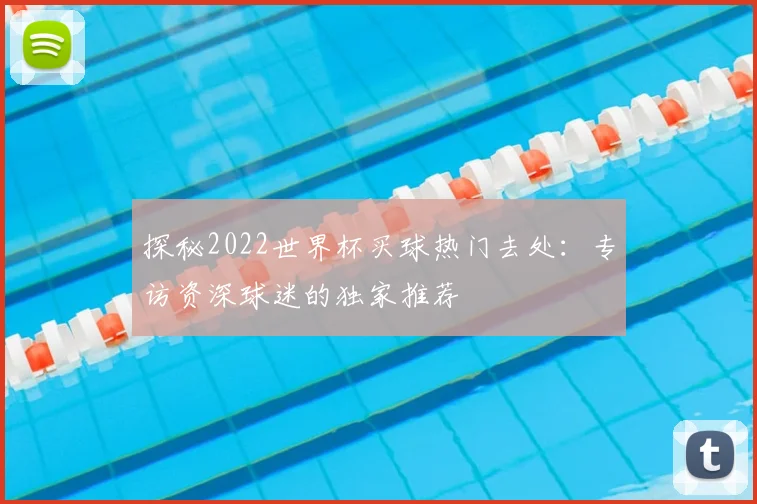探秘2022世界杯买球热门去处：专访资深球迷的独家推荐