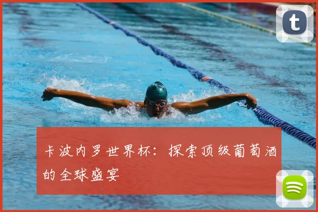 卡波内罗世界杯：探索顶级葡萄酒的全球盛宴