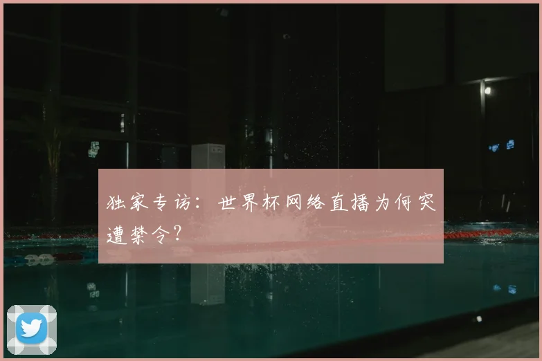 独家专访:世界杯网络直播为何突遭禁令?