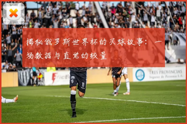 揭秘俄罗斯世界杯的买球故事：一场数据与直觉的较量