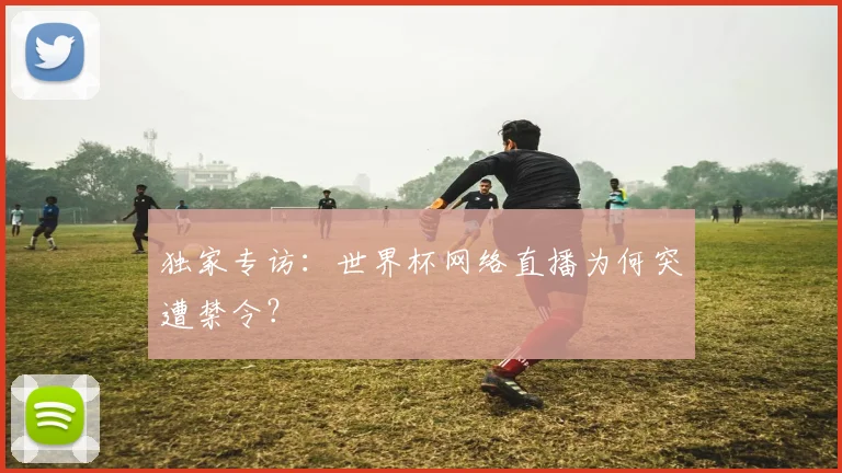 独家专访:世界杯网络直播为何突遭禁令?